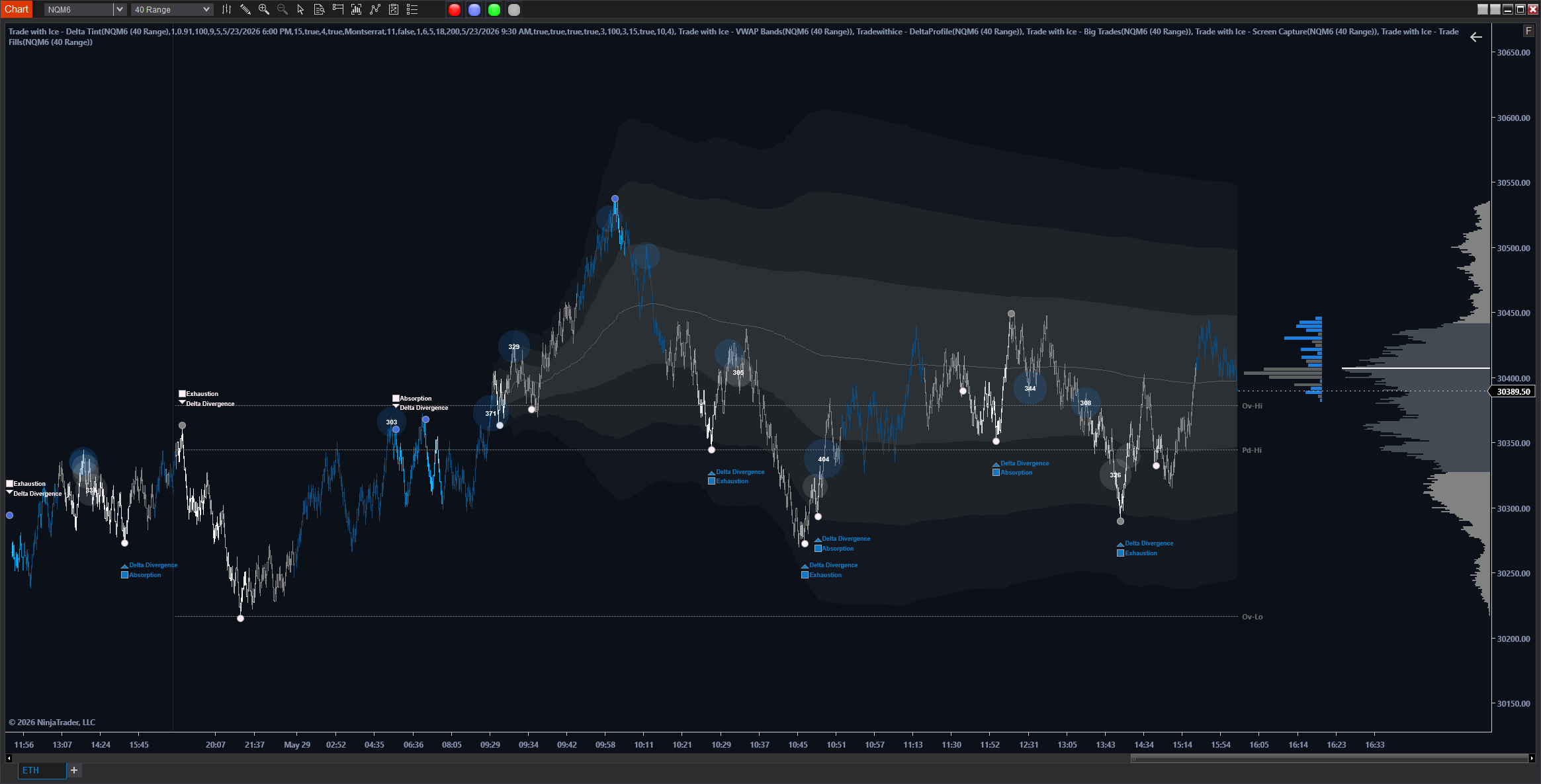 Delta Tint Team Blue preset on NinjaTrader 8