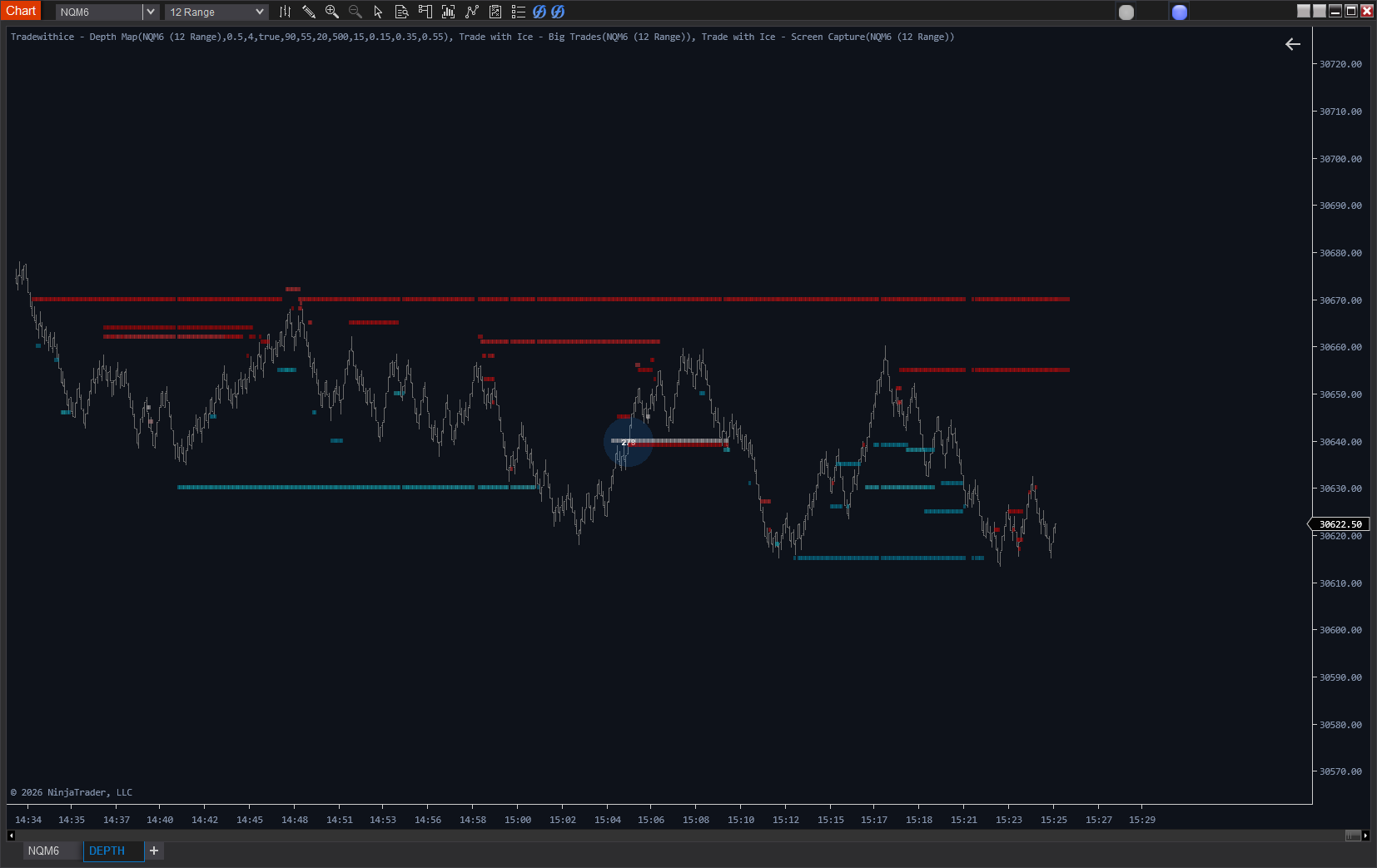 Depth Map indicator on NinjaTrader chart